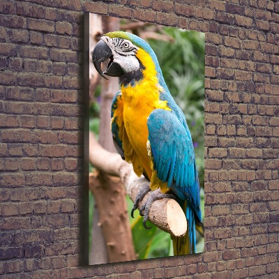 Vertikální Vertikální Foto obraz na plátně do obýváku Papoušek Ara