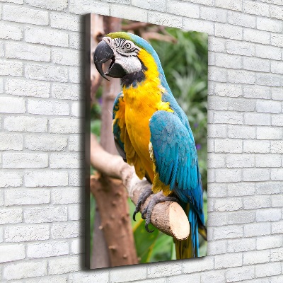 Vertikální Vertikální Foto obraz na plátně do obýváku Papoušek Ara