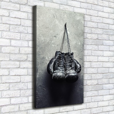 Vertikální Foto obraz na plátně Boxerské rukavice