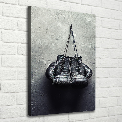 Vertikální Foto obraz na plátně Boxerské rukavice