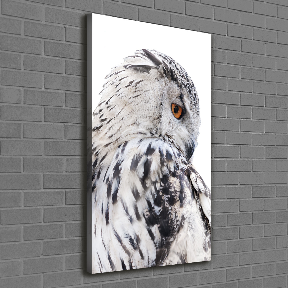Vertikální Vertikální Foto obraz na plátně do obýváku Bílá sova
