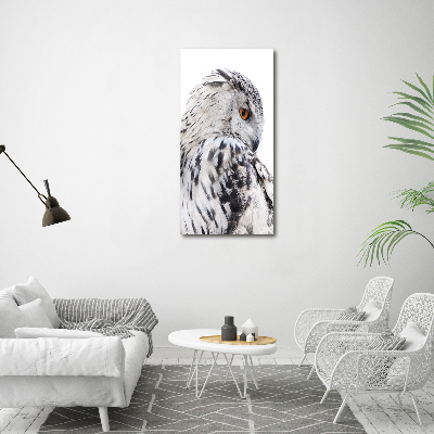 Vertikální Vertikální Foto obraz na plátně do obýváku Bílá sova