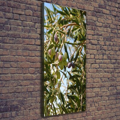Vertikální Foto obraz na plátně Olivy na stromě