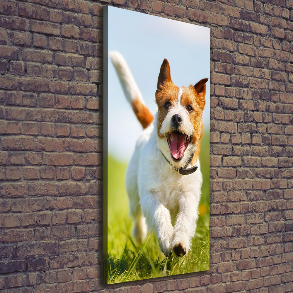 Vertikální Foto obraz na plátně Pes Jack Russell