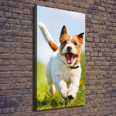 Vertikální Foto obraz na plátně Pes Jack Russell