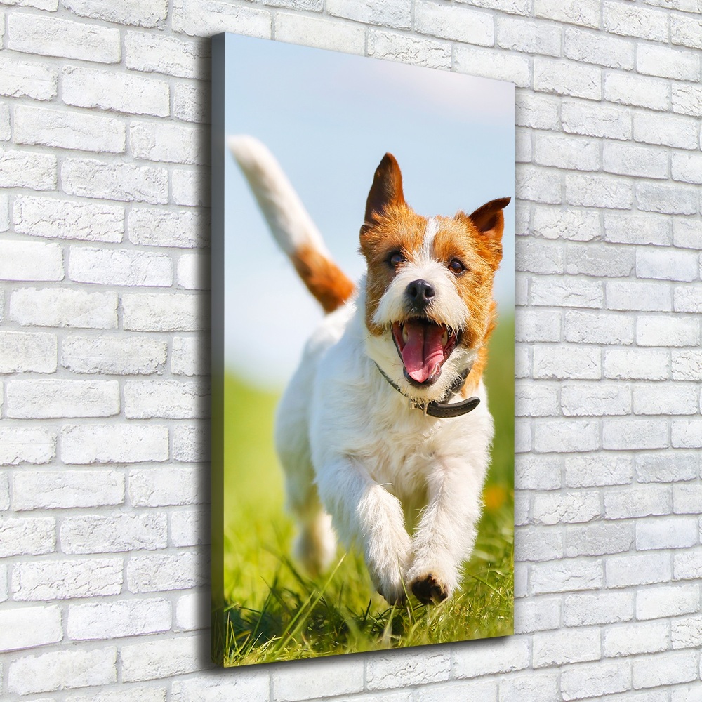 Vertikální Foto obraz na plátně Pes Jack Russell