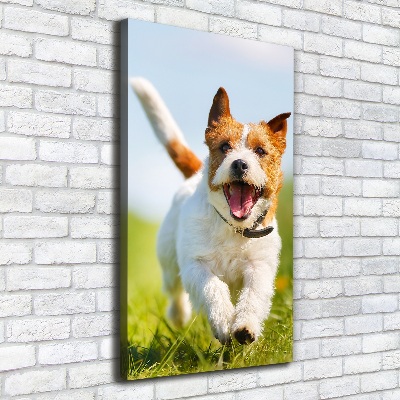 Vertikální Foto obraz na plátně Pes Jack Russell