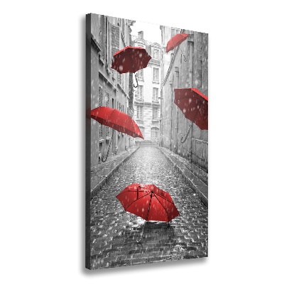 Vertikální Foto obraz na plátně Deštník Francie