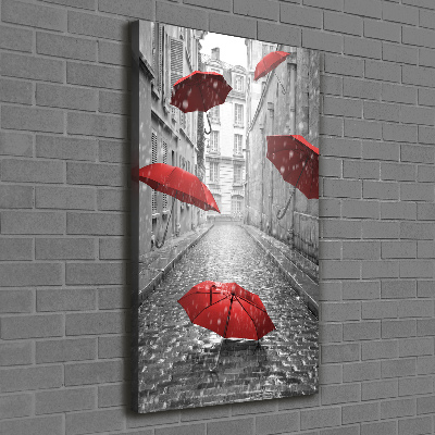 Vertikální Foto obraz na plátně Deštník Francie