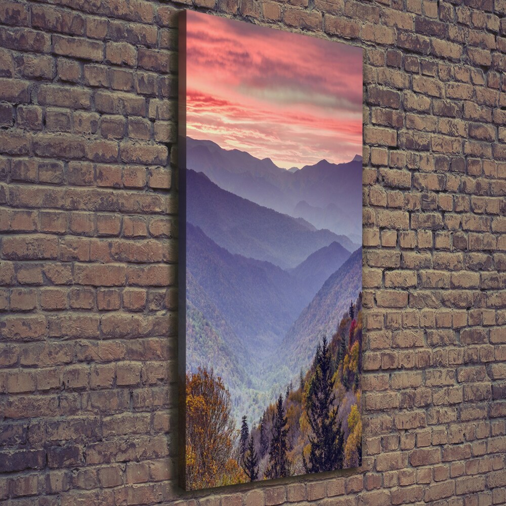 Vertikální Foto obraz na plátně Mlha nad horama