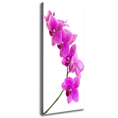 Vertikální Foto obraz na plátně Růžová orchidej