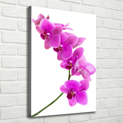 Vertikální Foto obraz na plátně Růžová orchidej