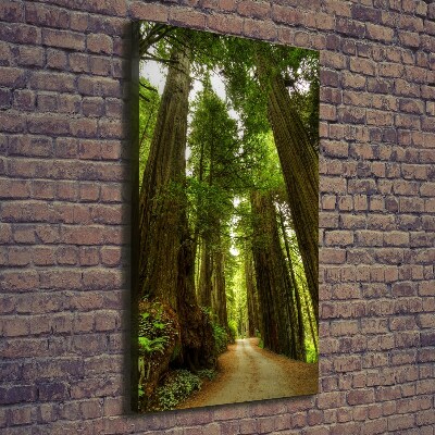 Vertikální Foto obraz na plátně Stezka v lese