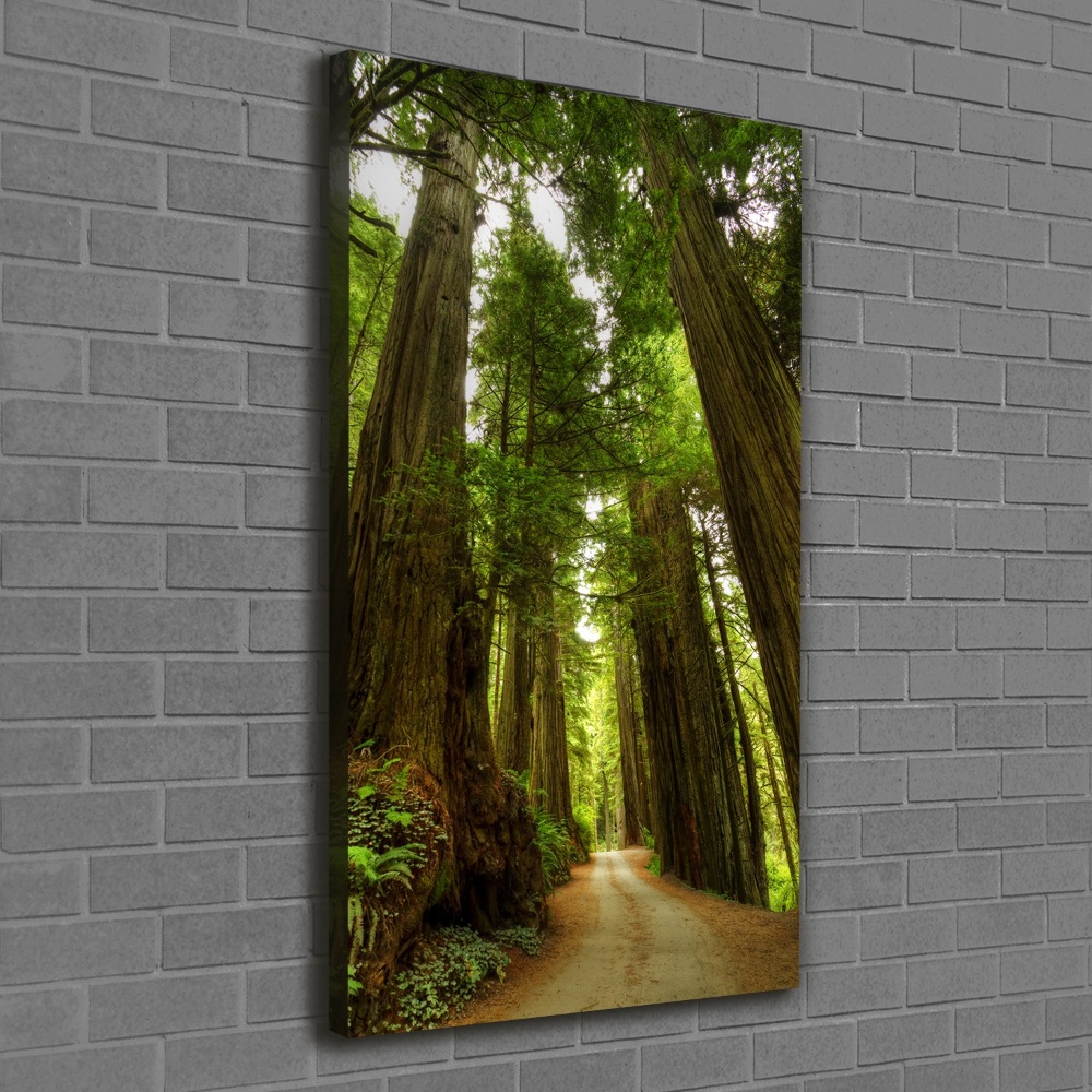 Vertikální Foto obraz na plátně Stezka v lese