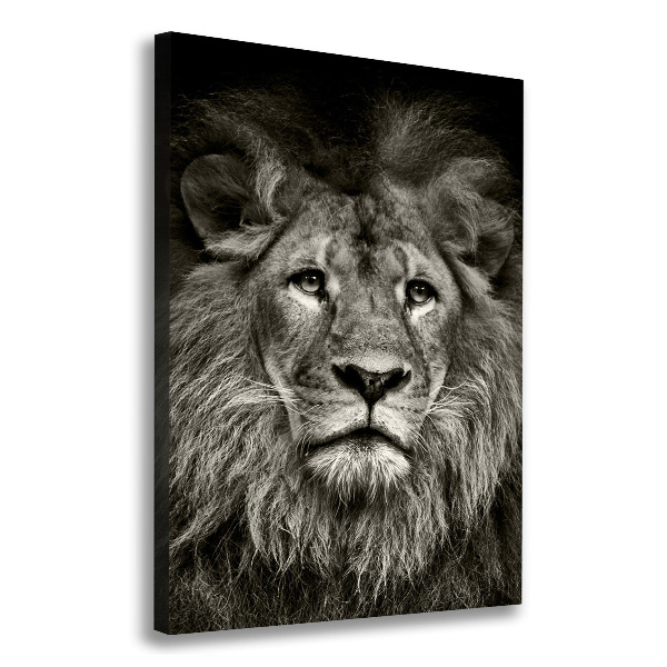 Vertikální Foto obraz canvas Lev