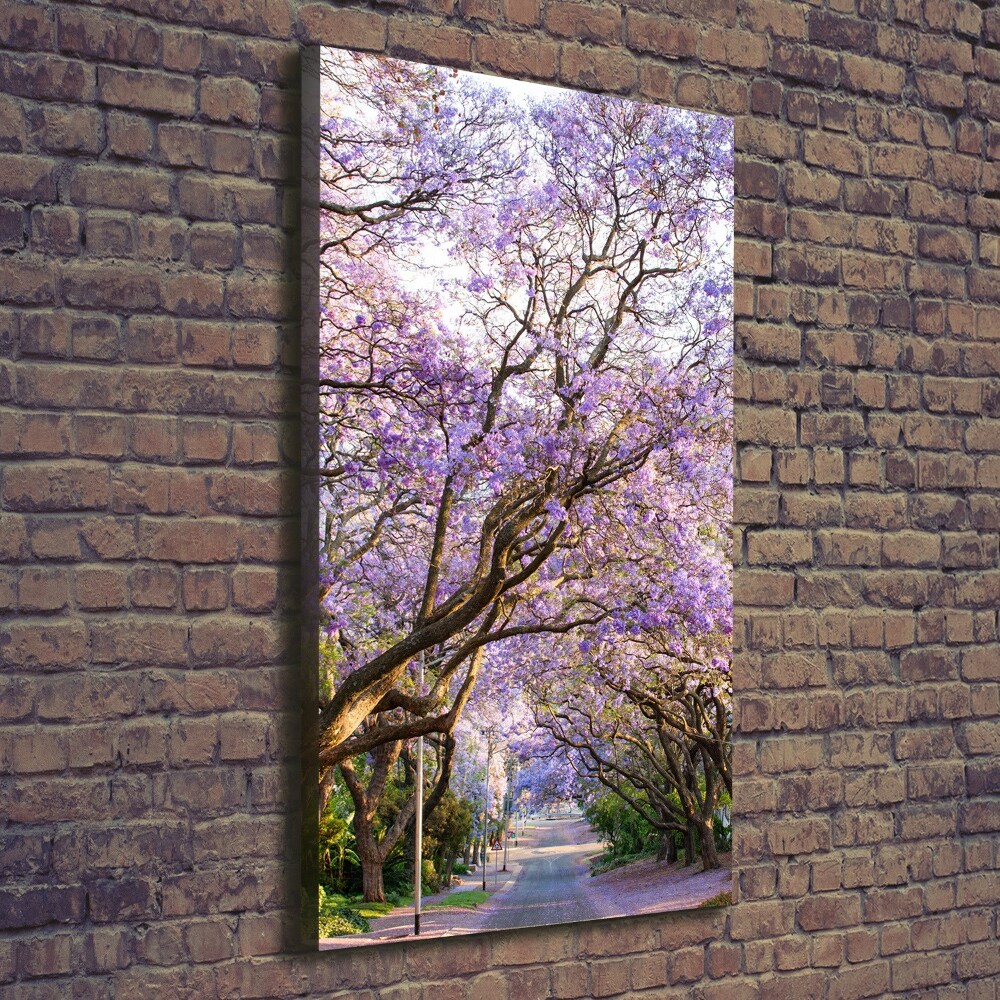 Vertikální Foto obraz na plátně Stezka stromy