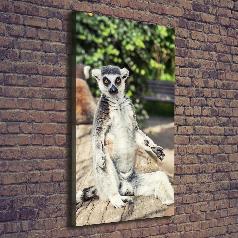 Vertikální Foto obraz tištěný na plátně Lemur