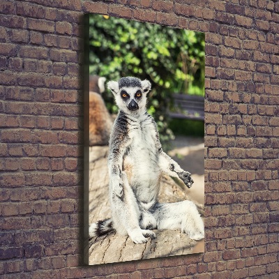 Vertikální Foto obraz tištěný na plátně Lemur