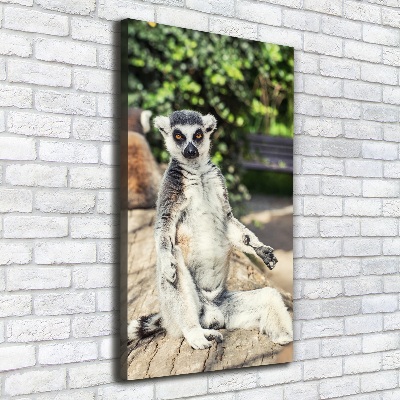 Vertikální Foto obraz tištěný na plátně Lemur