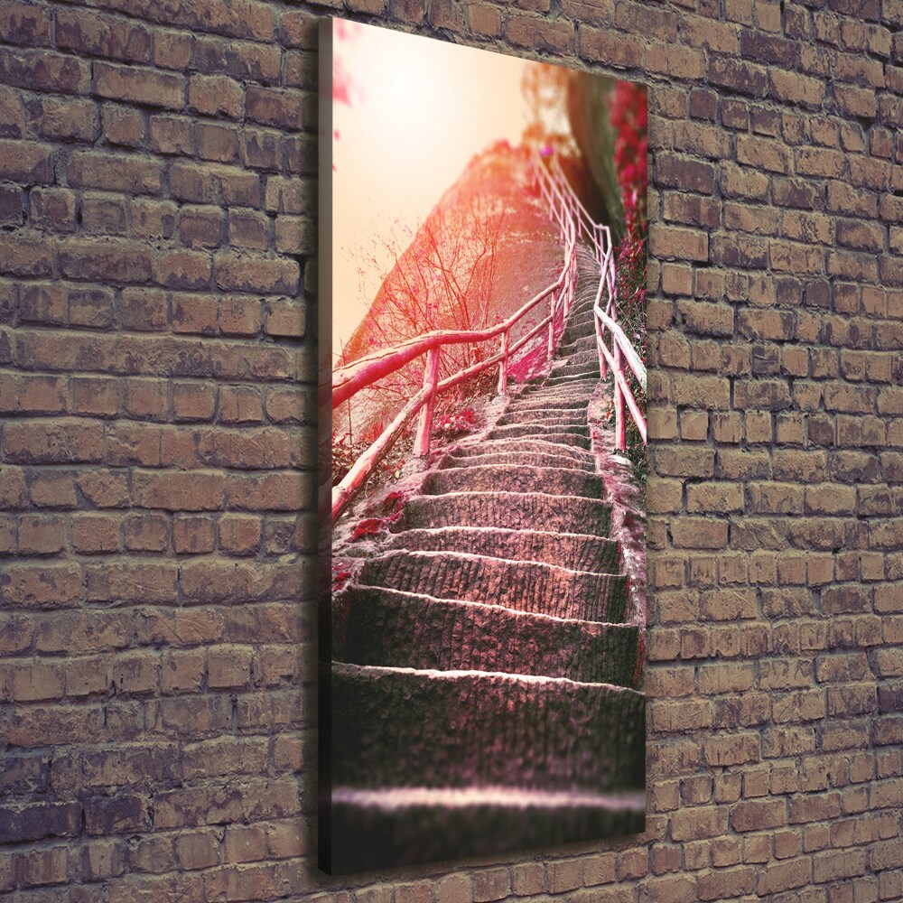 Vertikální Foto obraz na plátně Schody v horách
