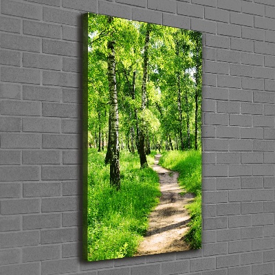 Vertikální Foto obraz canvas Břízový les