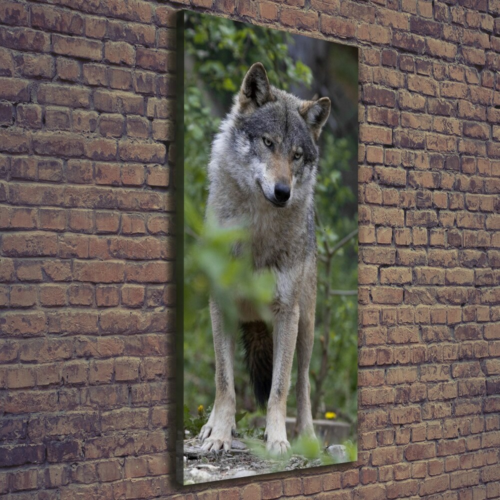 Vertikální Foto obraz canvas Vlk v lese