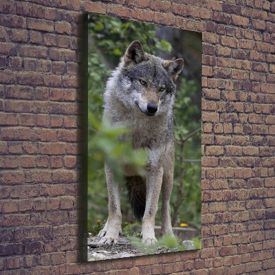 Vertikální Foto obraz canvas Vlk v lese