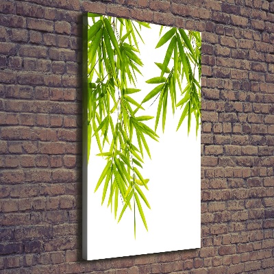 Foto-obraz canvas do obýváku Bambus listí