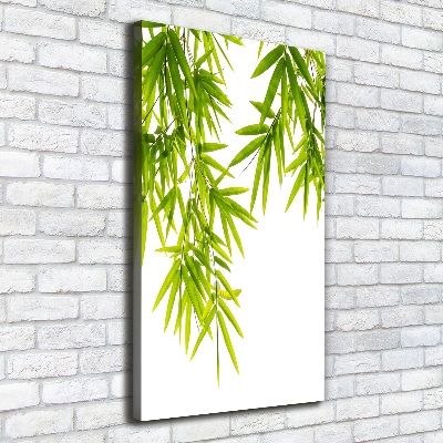 Foto-obraz canvas do obýváku Bambus listí