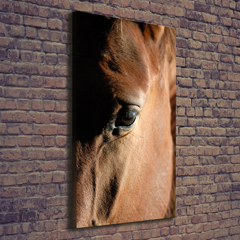 Vertikální Foto obraz canvas Kůň