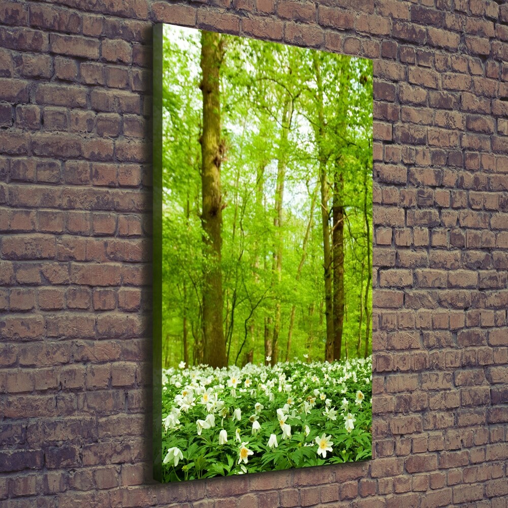 Vertikální Foto obraz na plátně Květy v leze
