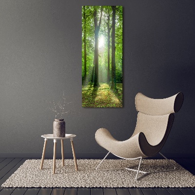 Vertikální Foto obraz na plátně Slunce v lese