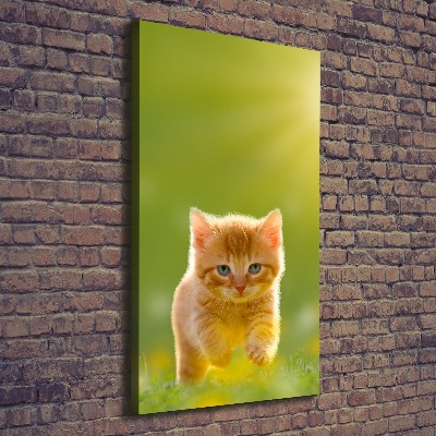Vertikální Vertikální Foto obraz na plátně do obýváku Červená kočka
