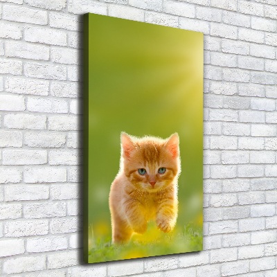 Vertikální Vertikální Foto obraz na plátně do obýváku Červená kočka