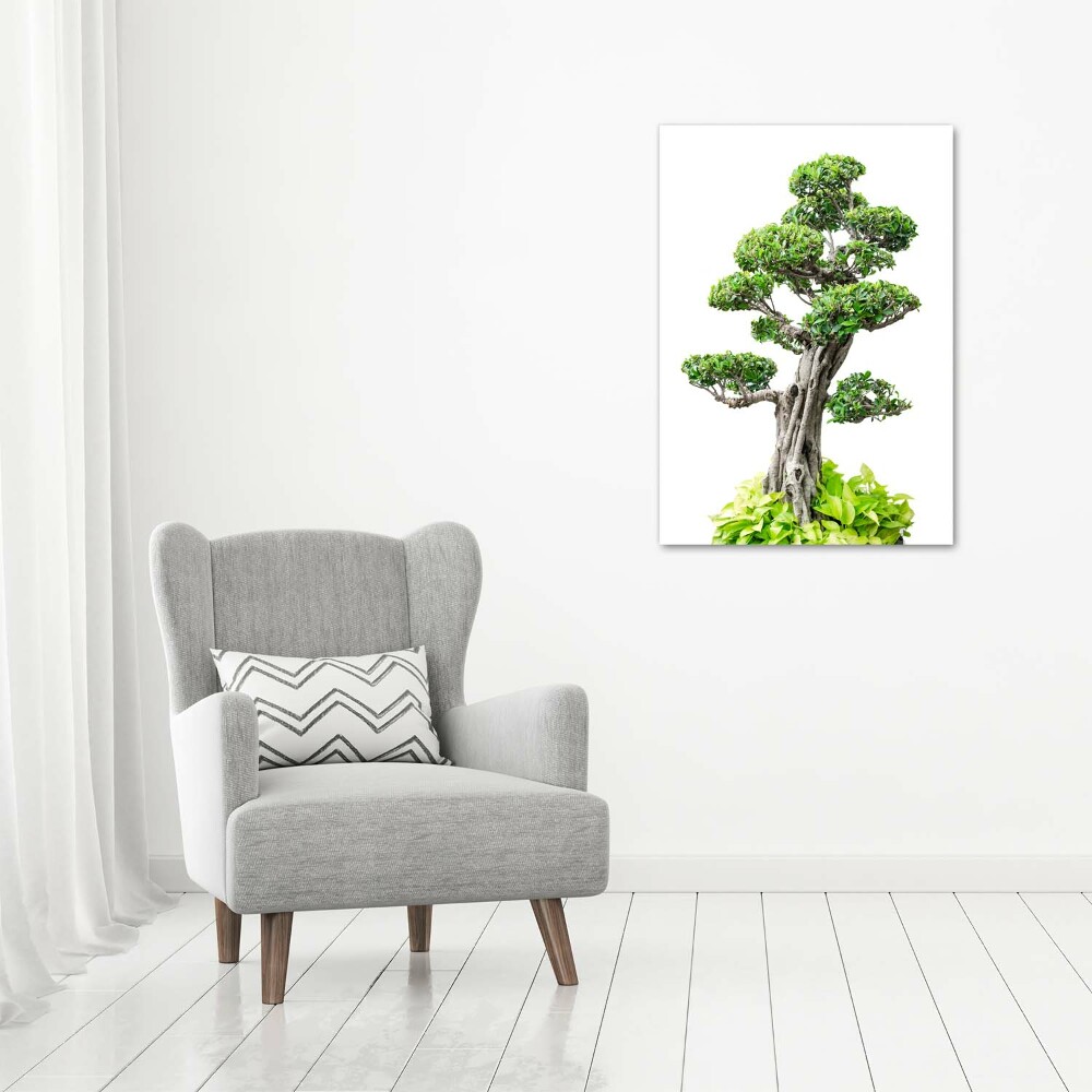 Vertikální Foto obraz na plátně Bonsai