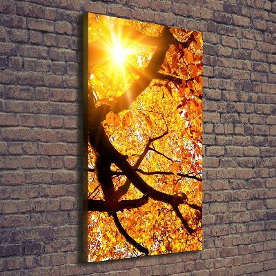 Vertikální Foto obraz na plátně Podzimní strom