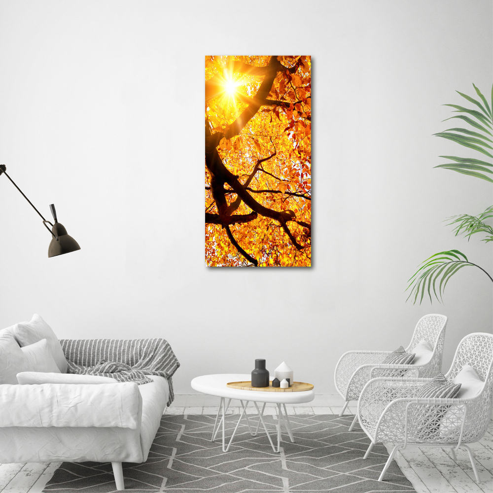 Vertikální Foto obraz na plátně Podzimní strom