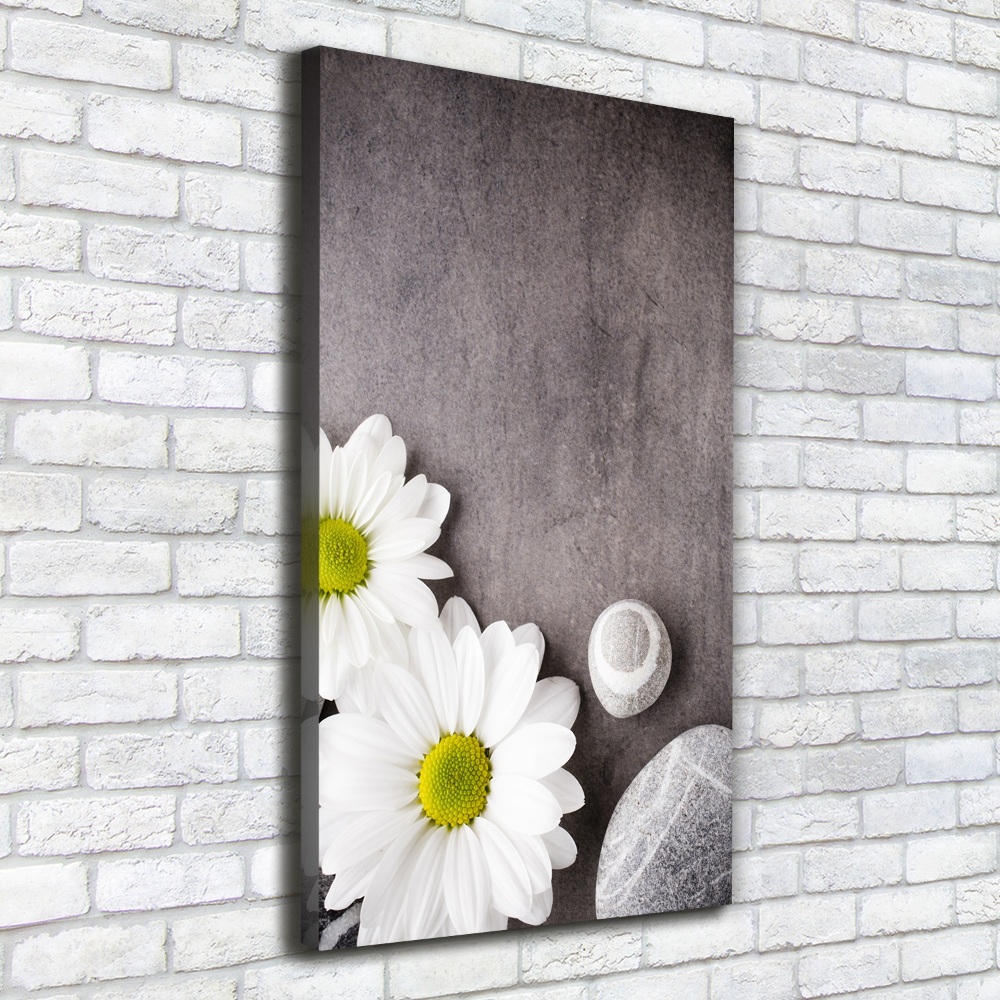 Vertikální Moderní obraz canvas na rámu Gerbera