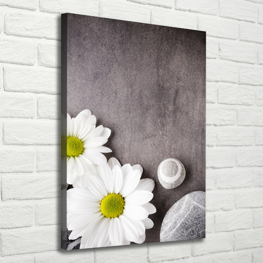 Vertikální Moderní obraz canvas na rámu Gerbera