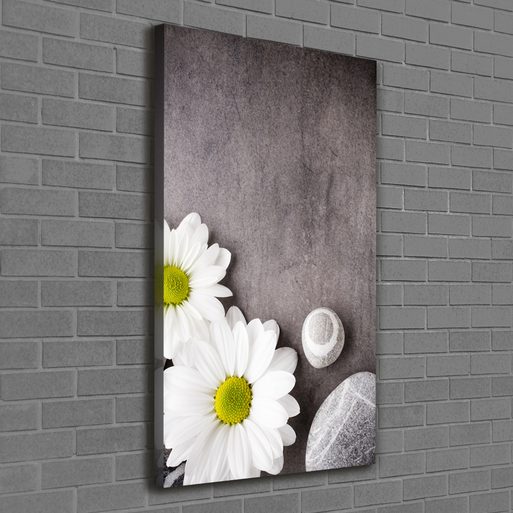 Vertikální Moderní obraz canvas na rámu Gerbera