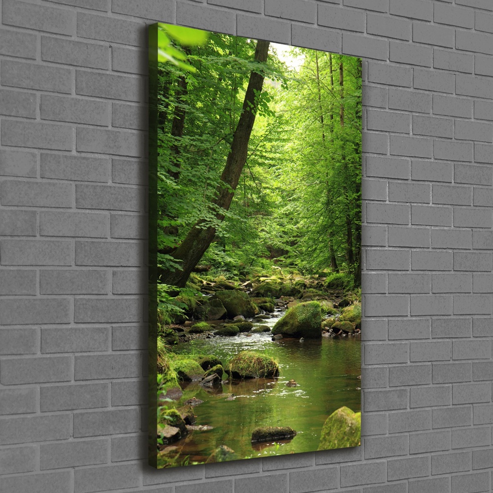 Vertikální Foto obraz canvas Řeka v lese