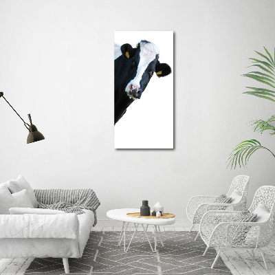 Vertikální Foto obraz na plátně Flekatá kráva