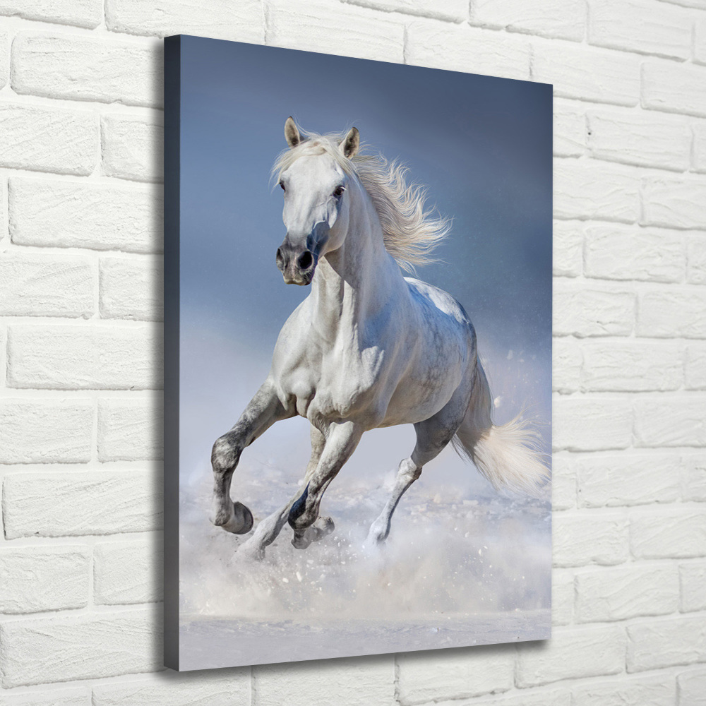 Vertikální Foto obraz na plátně Bílý kůň cval