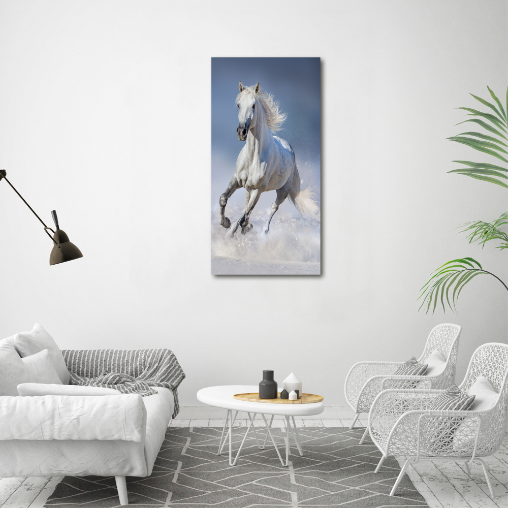 Vertikální Foto obraz na plátně Bílý kůň cval