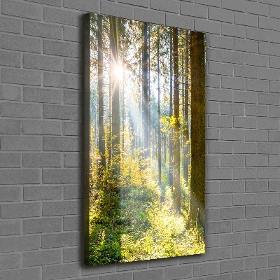 Vertikální Foto obraz canvas Slunce v lese