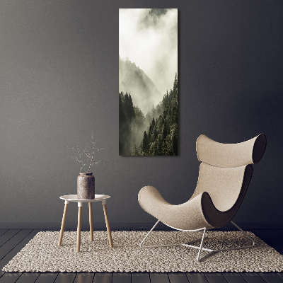 Vertikální Foto obraz na plátně Mlha nad lesem