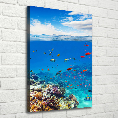 Vertikální Foto obraz na plátně Korálový útes