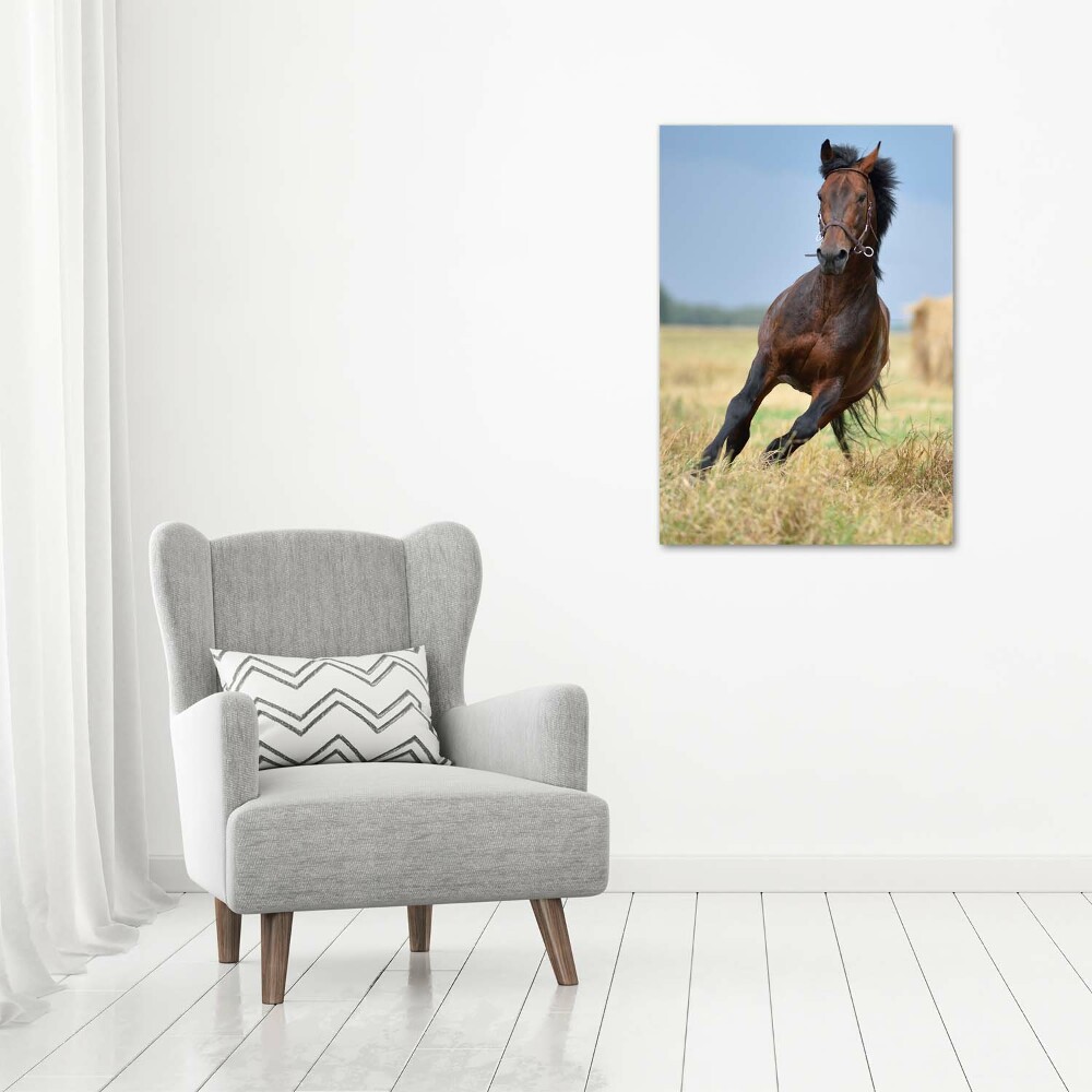 Vertikální Vertikální Foto obraz na plátně do obýváku Kůň na poli