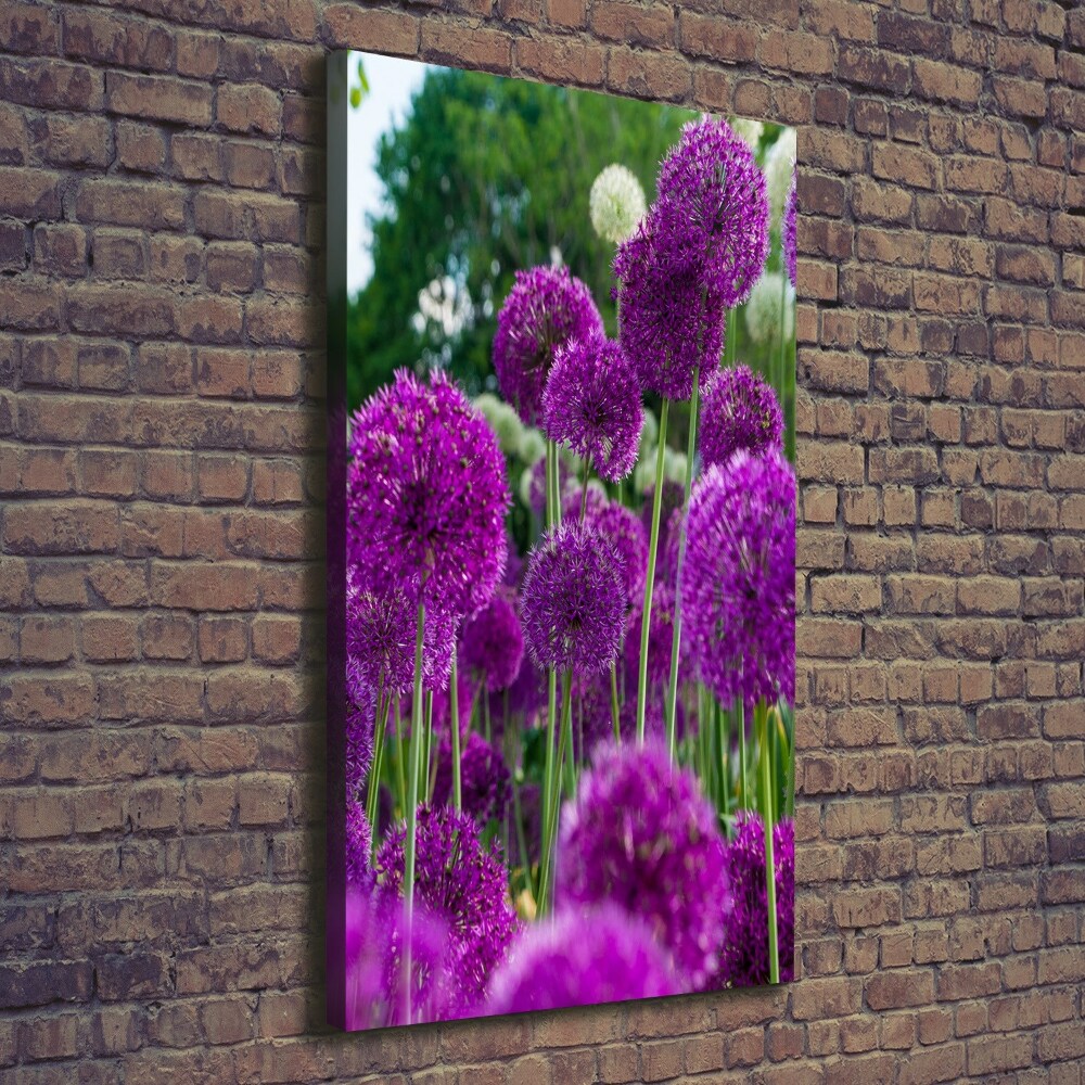 Vertikální Foto obraz na plátně Květy česneku