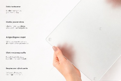 Skleněná deska za sporák Čtvercowa poloprůsvitná